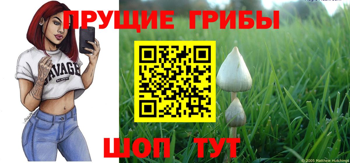 Псилоцибиновые грибы мухоморы  Вход с VPN  Краснознаменск  Псилоцибиновые грибы Magic Shrooms 